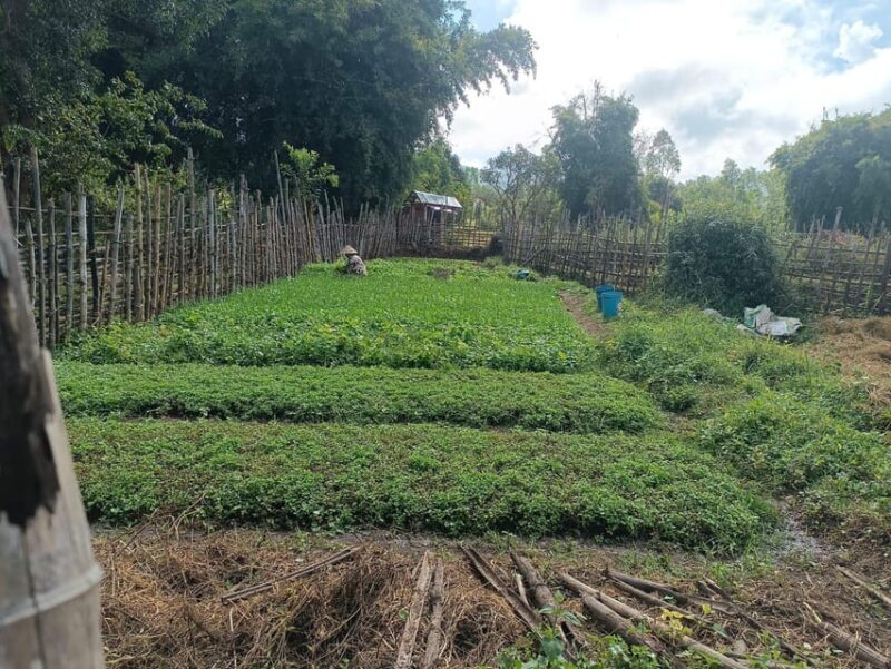 Plain of Jars Share Group Tour - Customer Reviews