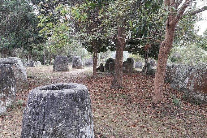 Plain of Jars Tour With Local Guide - Inclusions