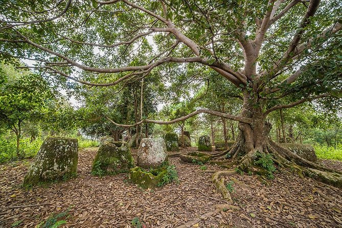 Plain of Jars Tour With Local Guide - Tour Highlights