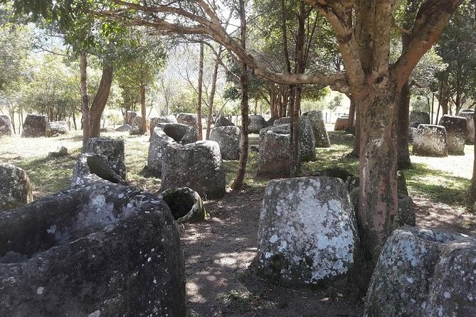 Plain of Jars Tour With Local Guide - Visitor Experiences