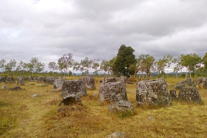 Plain of Jars Tour With Local Guide - Meeting and Pickup