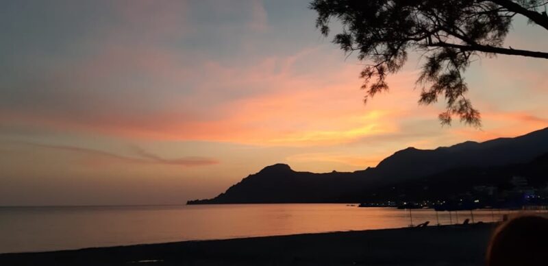 Plakias: Wine Experience by the Sea - Pricing and Reservation