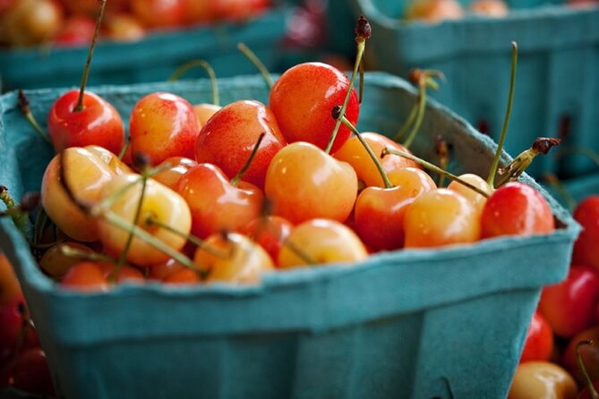 Plant Based Food Tour in Pike Place Market - Accessibility and Accommodations