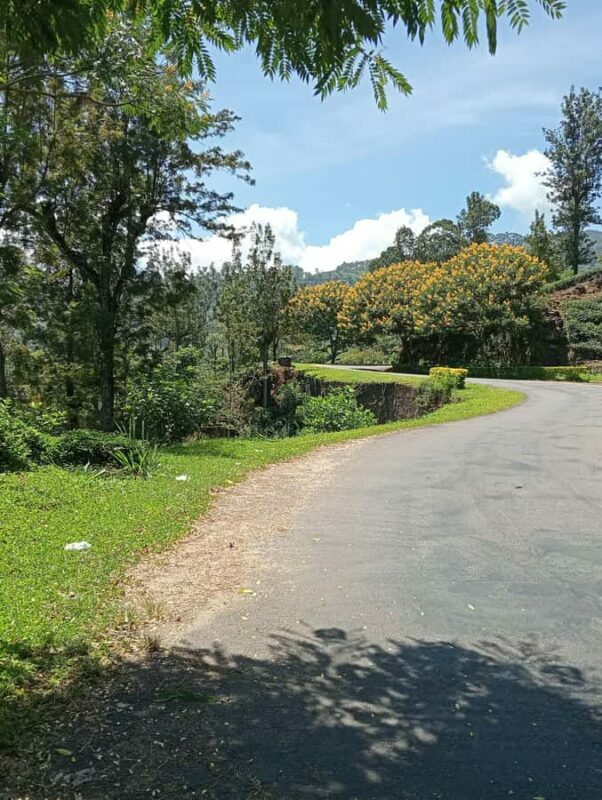 Plantations Tuk-Tuk Tour in Nuwara Eliya - The Sum Up