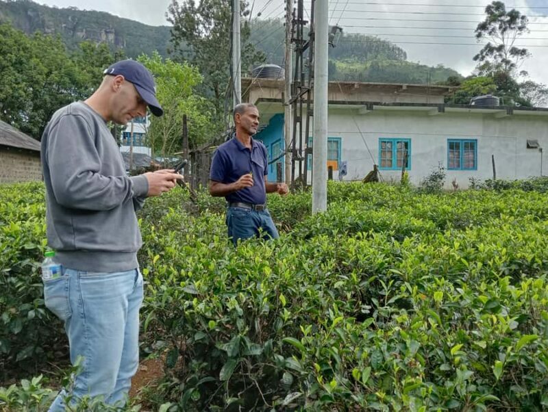 Plantations Tuk-Tuk Tour in Nuwara Eliya - FAQ