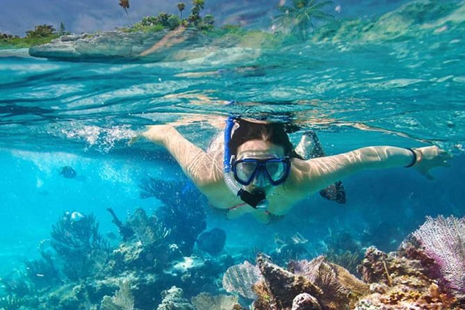 Platinum Power Shore Adventure, Hookah Diving, and Snorkeling - On-board Entertainment