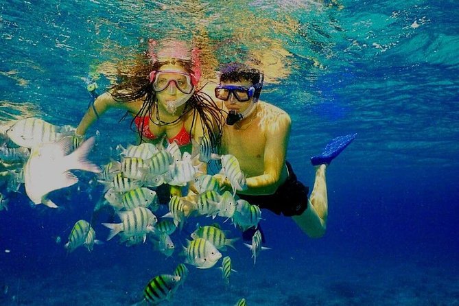 Platinum Power Shore Adventure, Hookah Diving, and Snorkeling - Participant Requirements