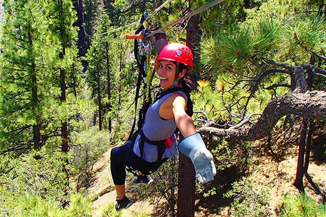 Platinum Zip Line Adventure. - Customer Feedback