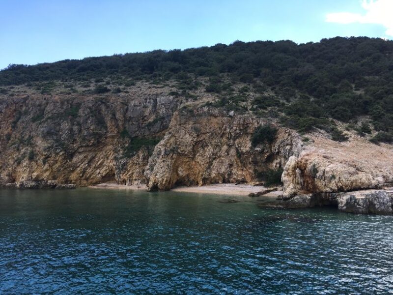 Plavnik Island: Swim and Snorkel With Captain Bobo (5,5h) - Meeting Point and Additional Info