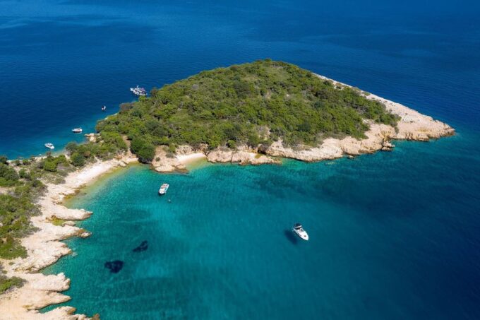 Plavnik Island: Swim and Snorkel With Captain Bobo (5,5h) - Wildlife Encounters