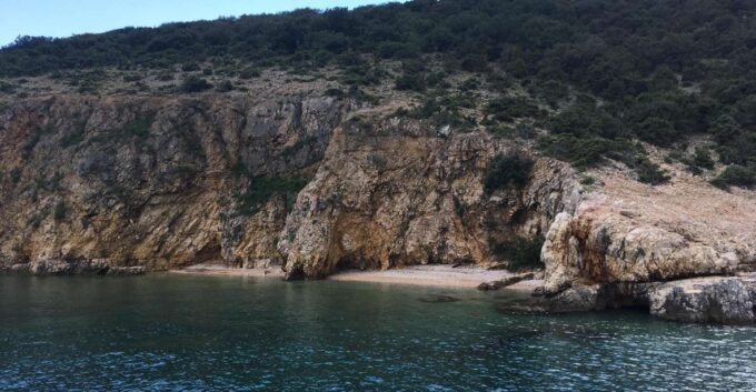 Plavnik Island: Swim and Snorkel With Captain Bobo (5,5h) - Customer Ratings