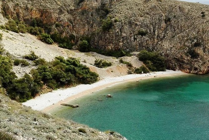 Plavnik Island & Wild Bays Full-Day Boat Trip With Capt. Bobo - Highlights of the Itinerary