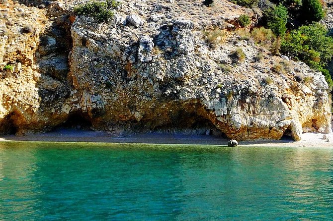 Plavnik Island & Wild Bays Full-Day Boat Trip With Capt. Bobo - Chance to Spot Dolphins