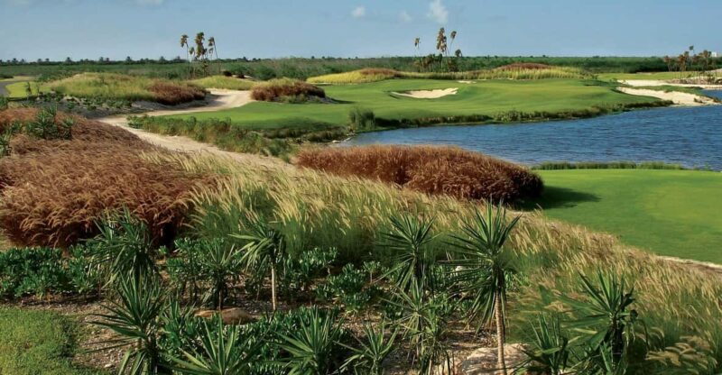 Play Riviera Cancun Golf Course - Experience Highlights