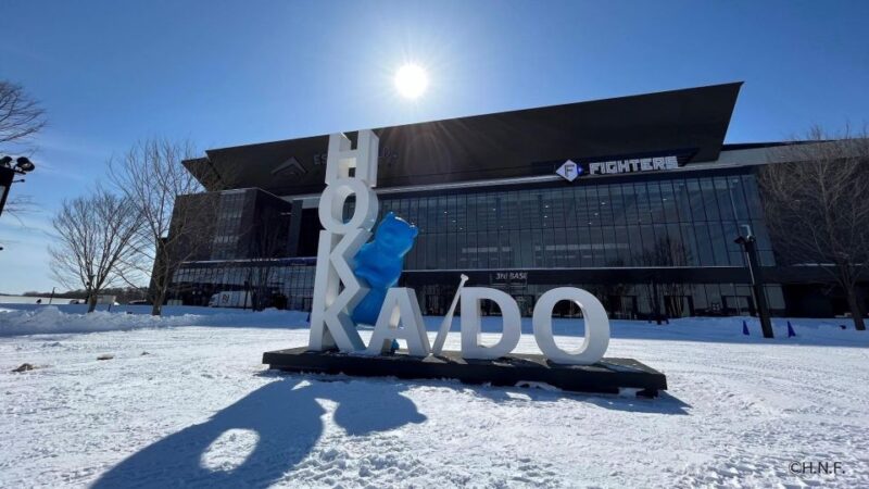 Play With Snow! at HOKKAIDO Snow Park & Outlet Shopping - Transportation to Locations