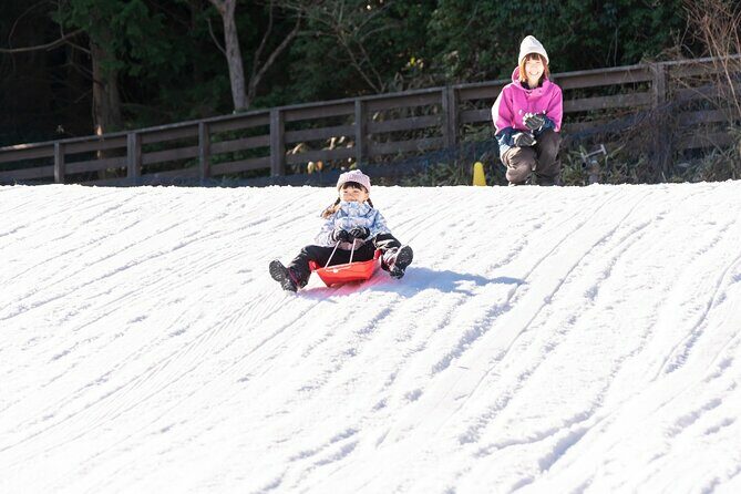 Play with Snow Crab Buffet Lunch and Strawberry Picking Bus Tour - Key Points