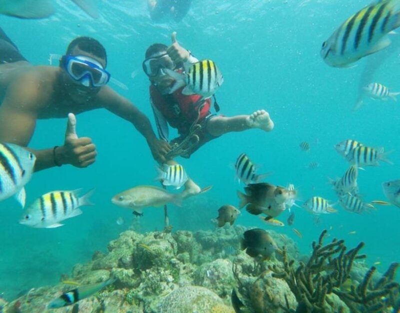 Playa Blanca: Daytour With Snorkeling and Racoon Sighting - Itinerary and Experience