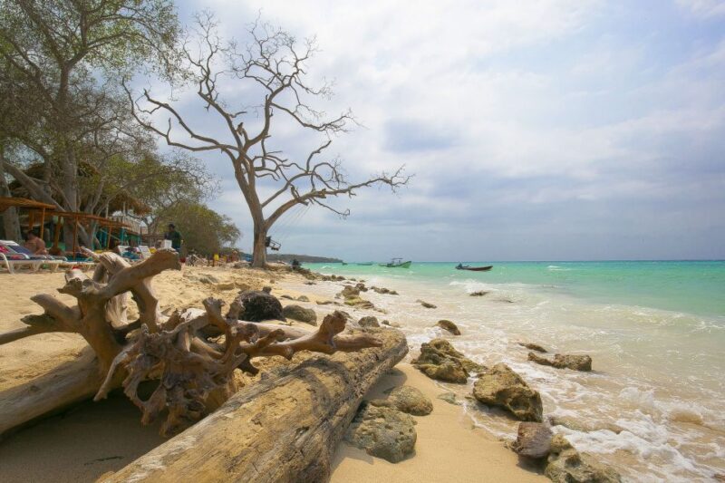 Playa Blanca Full-Day Trip From Cartagena - Customer Ratings and Reviews