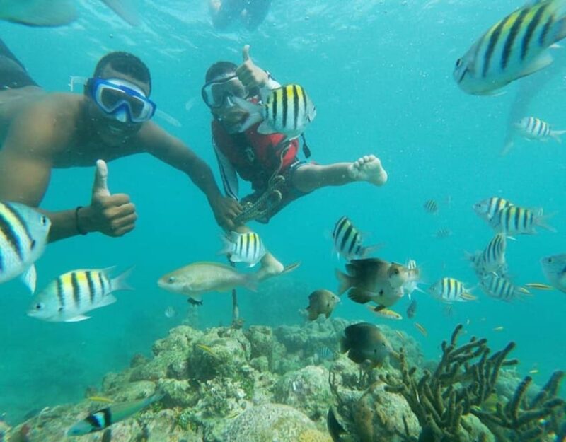 Playa Blanca:Daytour With Snorkeling+Racoon Sighting by Boat - Itinerary Details