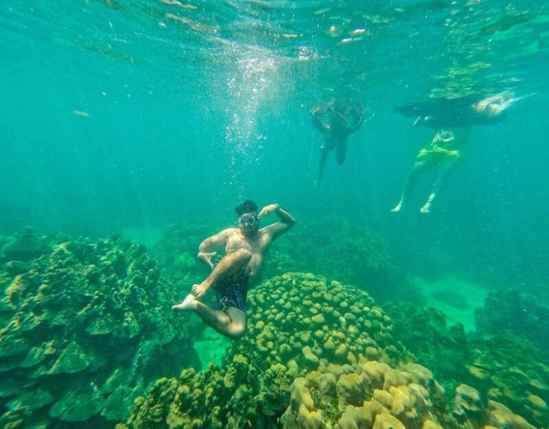 Playa Blanca:Daytour With Snorkeling+Racoon Sighting by Boat - Transportation Arrangements
