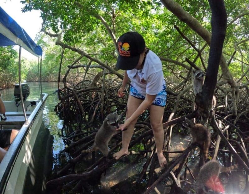 Playa Blanca:Daytour With Snorkeling+Racoon Sighting by Boat - Activity Exclusions