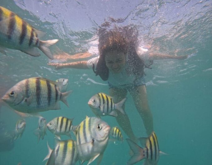 Playa Blanca:Daytour With Snorkeling+Racoon Sighting by Boat - Suitability Considerations