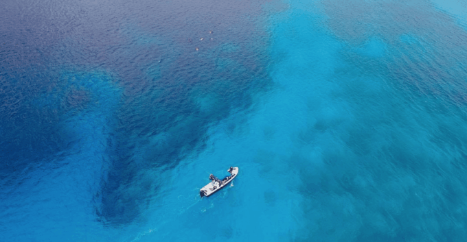 Playa: Bull Shark Dive - Frequently Asked Questions