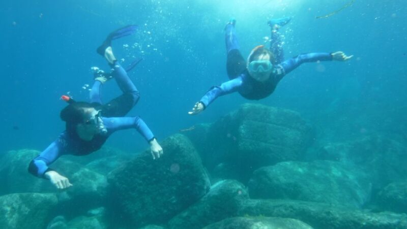 Playa De Mogán: Guided Kayak to Caves and Snorkeling Tour - Key Points