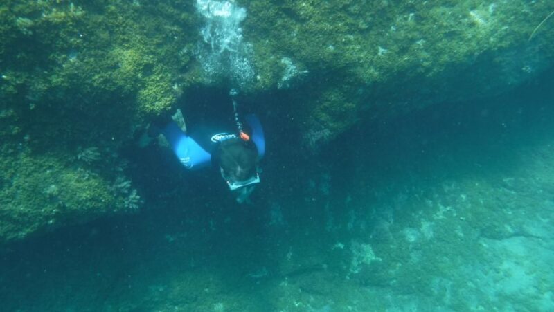 Playa De Mogán: Guided Kayak to Caves and Snorkeling Tour - Recommendations
