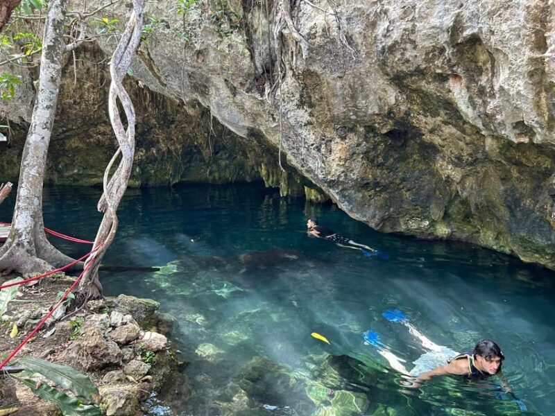 Playa Del Carmen: 2 Cenotes, 1 Beach & 1 Lagoon - Inclusions