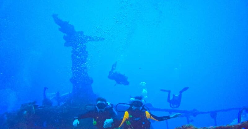 Playa Del Carmen: 2-Tank Reef Dive - Diving Experience