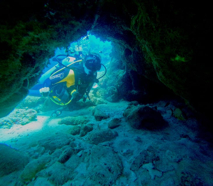 Playa Del Carmen: 2-Tank Reef Dive - Preparation and Regulations