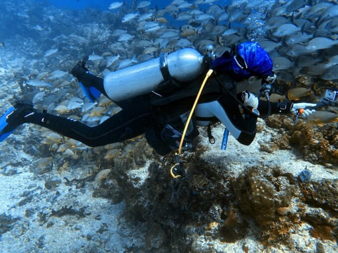Playa Del Carmen: 2-Tank Reef Dive - Personalized Small Group Experience