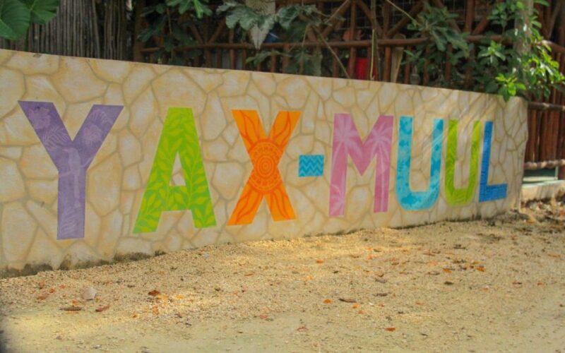 Playa Del Carmen: 3 Cenotes Guided Tour and Mayan Ceremony - Activity Highlights