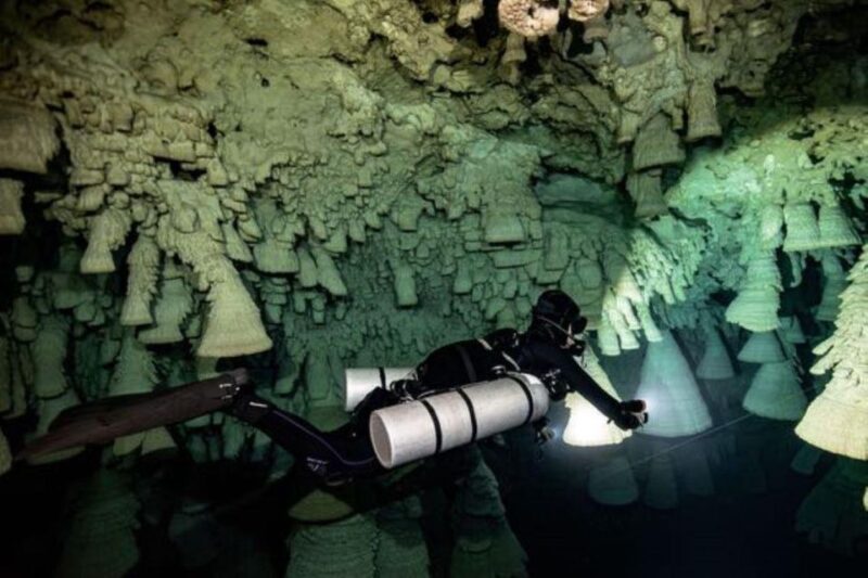 Playa Del Carmen: Angelita & Carwash Cenotes Dive - Cenote Angelita Highlights