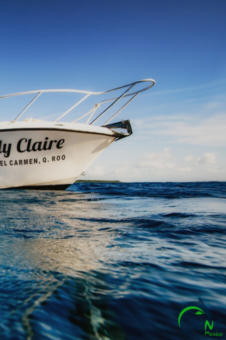 Playa Del Carmen: Beginner Scuba Diving Experience - Frequently Asked Questions