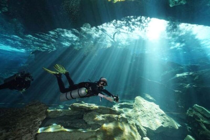 Playa Del Carmen: Bull Shark Diving Experience - Pricing and Booking