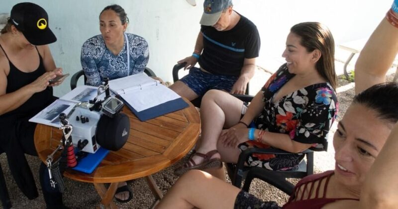 Playa Del Carmen: Bull Shark Encounter - Dive Details
