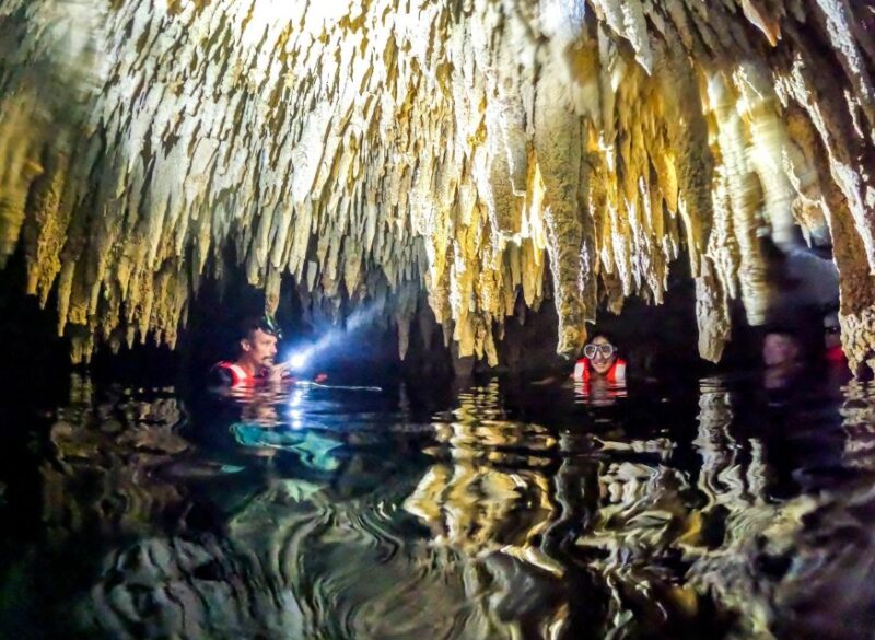Playa Del Carmen: Cenote and Swim With Turtles Half Day Tour - Itinerary Highlights