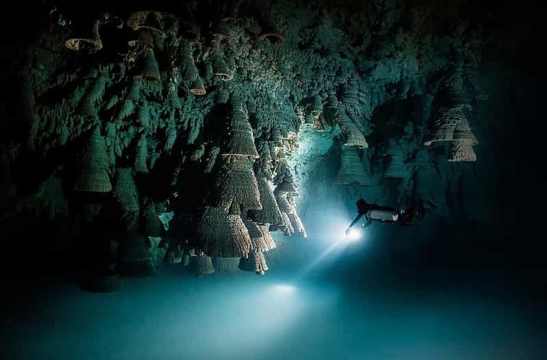 Playa Del Carmen: Cenote Essentials - Next-Level Cavern Dive - Dive Site Selection and Safety
