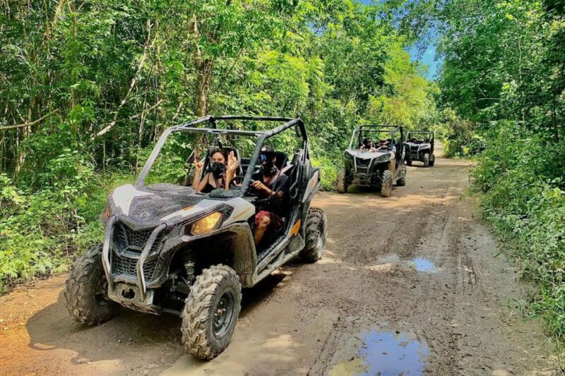 Playa Del Carmen: Cenote & Mayan Village Tour by Buggy - Inclusions and Exclusions
