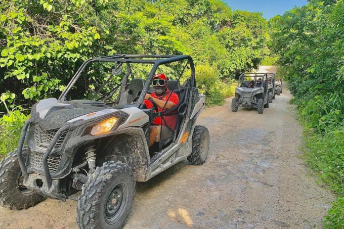 Playa Del Carmen: Cenote & Mayan Village Tour by Buggy - Customer Reviews and Ratings