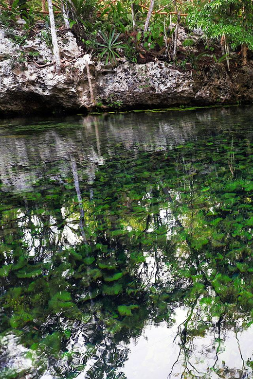 Playa Del Carmen: Cenote + Reef Diving in Riviera Maya - Diving Experience