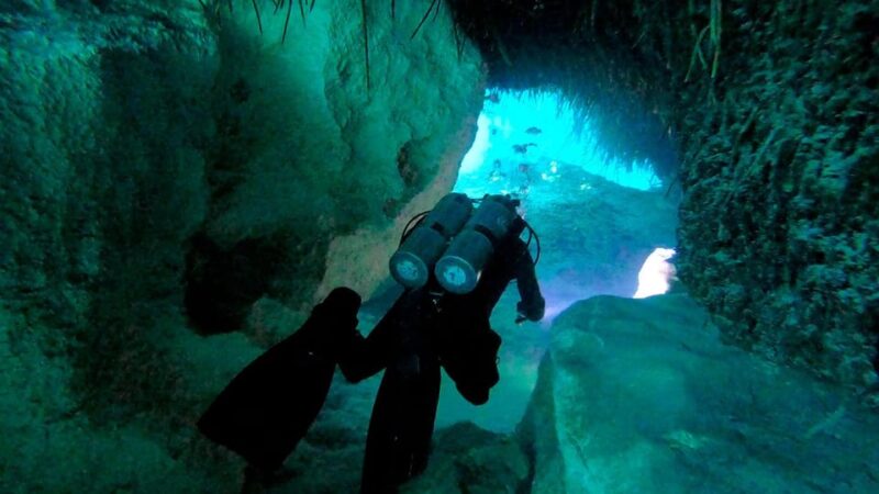 Playa Del Carmen: Cenote + Reef Diving in Riviera Maya - Itinerary