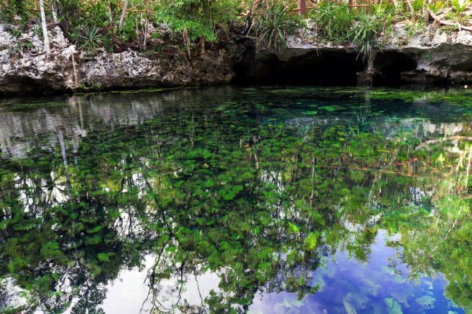 Playa Del Carmen: Cenote + Reef Diving in Riviera Maya - Cancellation Policy