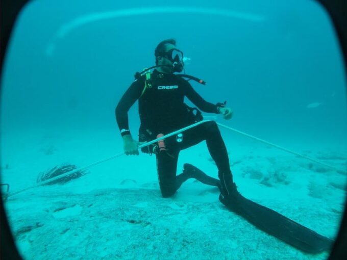 Playa Del Carmen: Cenote + Reef Diving in Riviera Maya - Frequently Asked Questions
