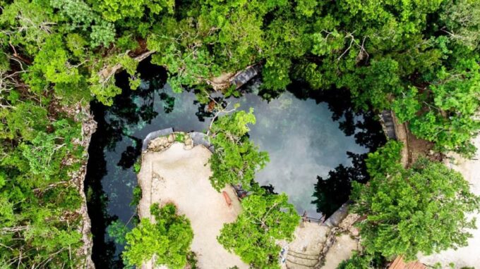 Playa Del Carmen: Cenotes Casa Tortugas Tour With Snorkeling - Customer Testimonials