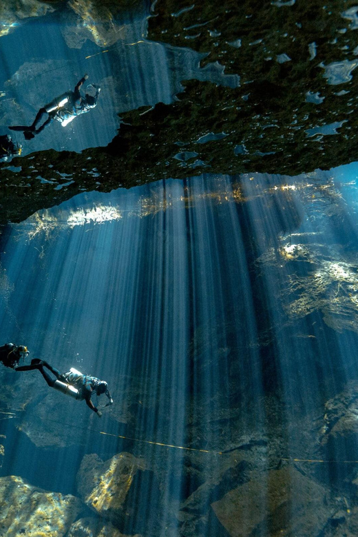 Playa Del Carmen: Certified Cenote Diving Experience - Cenote Diving Highlights