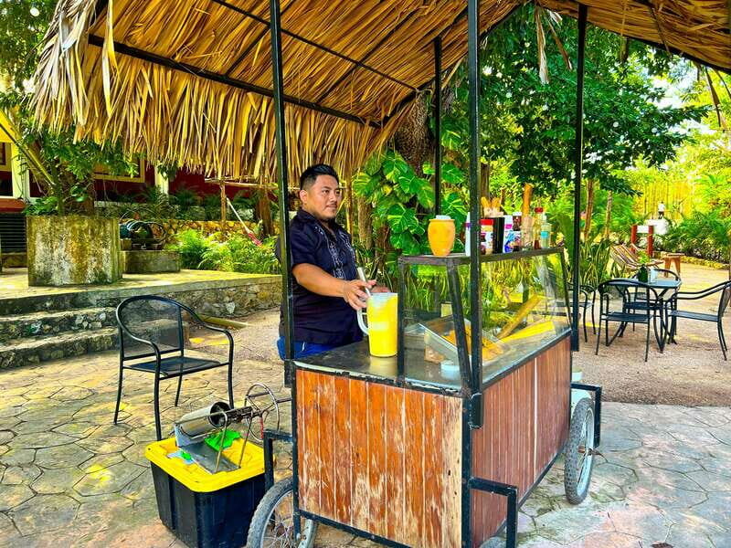 Playa del Carmen: Chichen Itza, Valladolid, Cenote & Buffet - Key Points