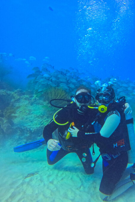 Playa Del Carmen: Discover Scuba Diving - About the Operator